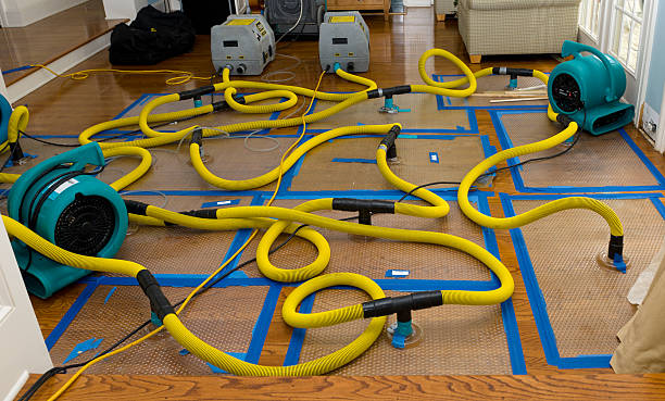 Professional Crawl Space Water Removal technician working in Benton, LA